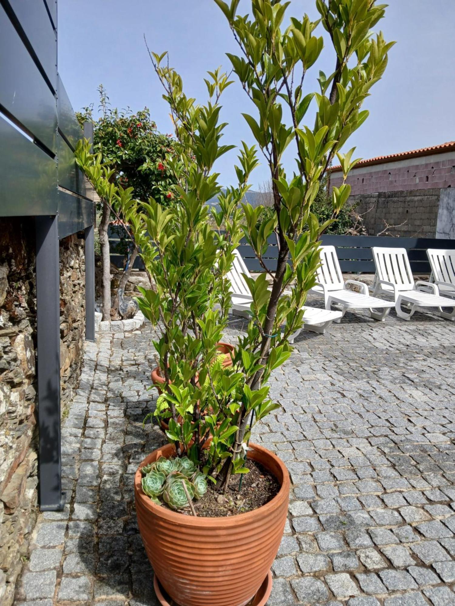 Alojamento Rural Casa Da Eira Holiday home *