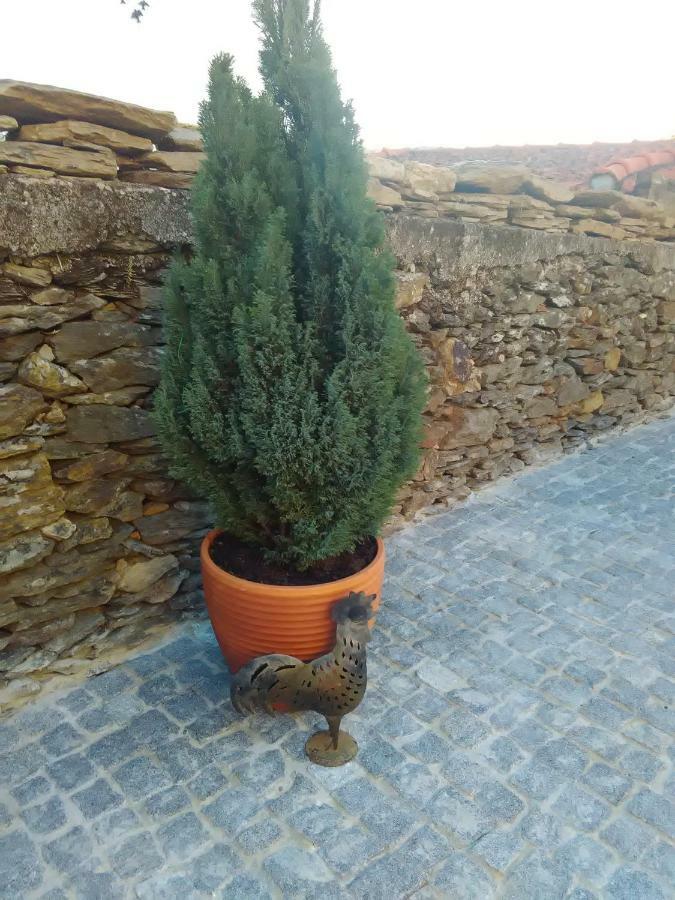 Holiday home Alojamento Rural Casa Da Eira *